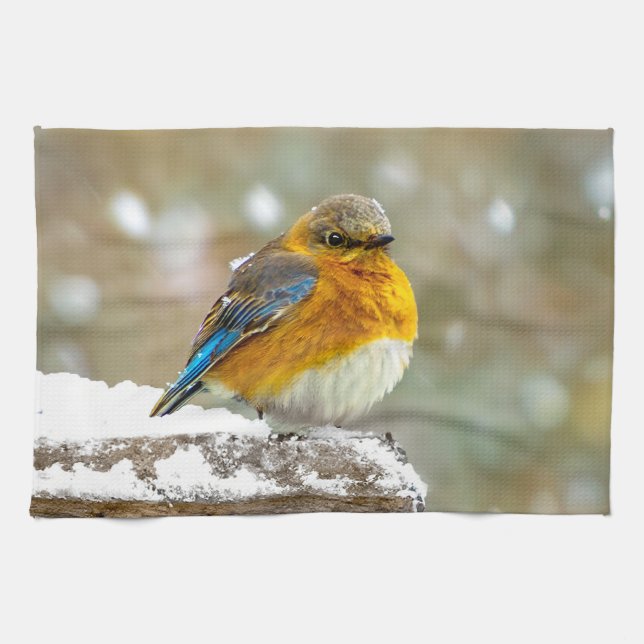 Östra Bluebird in Snö - Originalfoto Kökshandduk (Horisontell)