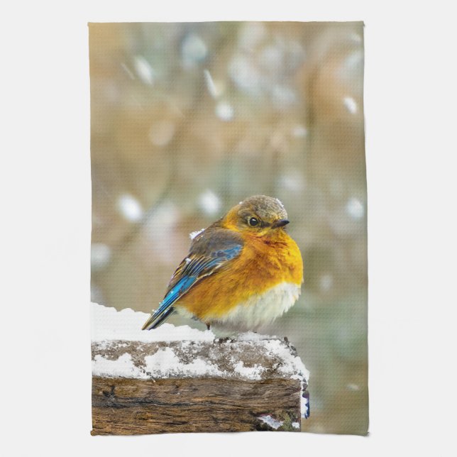 Östra Bluebird in Snö - Originalfoto Kökshandduk (Vertikal)