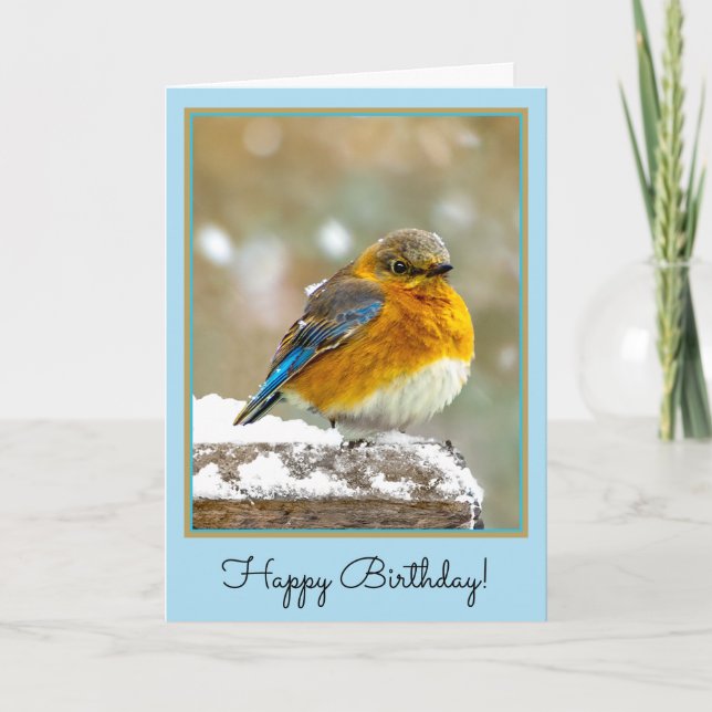 Östra Bluebird in Snö - Originalfoto Kort (Framsida)