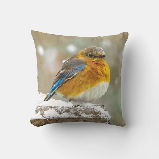 Östra Bluebird in Snö - Originalfoto Kudde (Framsida)