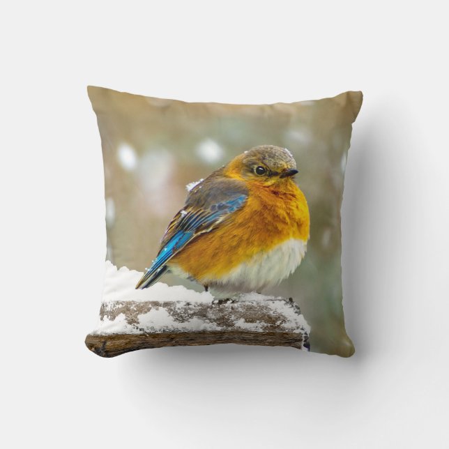 Östra Bluebird in Snö - Originalfoto Kudde (Framsida)