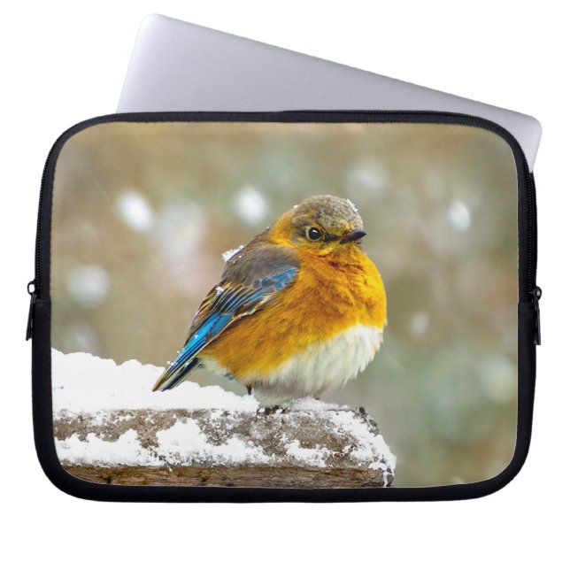 Östra Bluebird in Snö - Originalfoto Laptop Fodral (Framsidan)