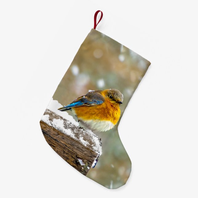 Östra Bluebird in Snö - Originalfoto Liten Julstrumpa (Framsidan (Hängande))