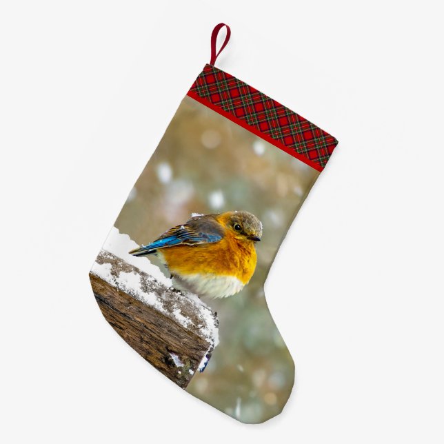 Östra Bluebird in Snö - Originalfoto Liten Julstrumpa (Framsidan (Hängande))