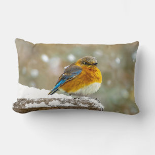 Östra Bluebird in Snö - Originalfoto Lumbarkudde