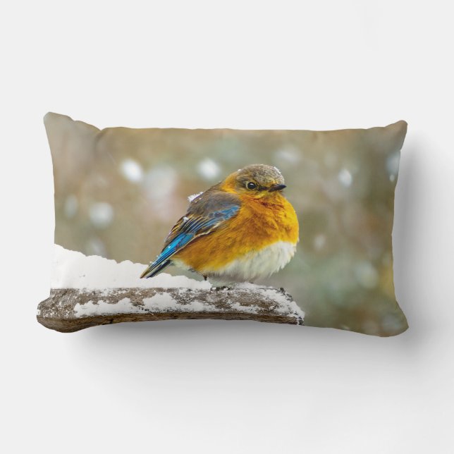 Östra Bluebird in Snö - Originalfoto Lumbarkudde (Framsida)