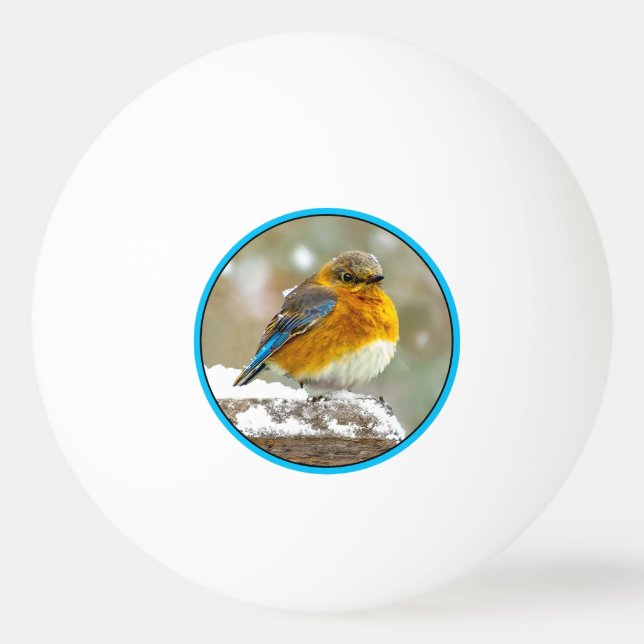 Östra Bluebird in Snö - Originalfoto Pingisboll (Framsidan)