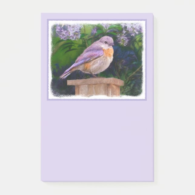 Östra Bluebird in Snö - Originalfoto Post-it Block (Framsida)