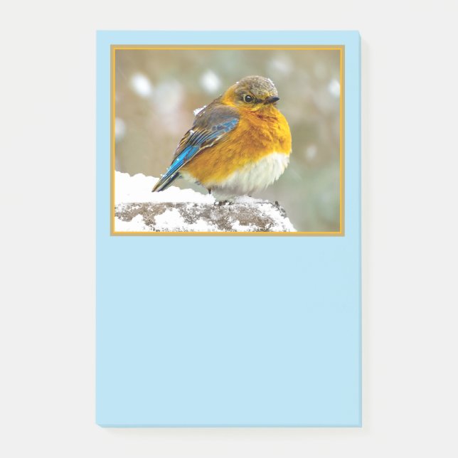 Östra Bluebird in Snö - Originalfoto Post-it Block (Framsida)