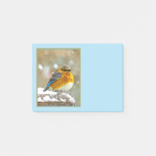 Östra Bluebird in Snö - Originalfoto Post-it Block