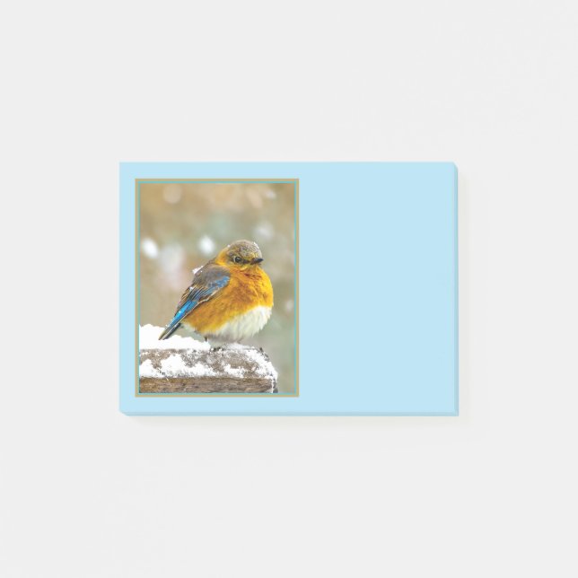 Östra Bluebird in Snö - Originalfoto Post-it Block (Framsida)