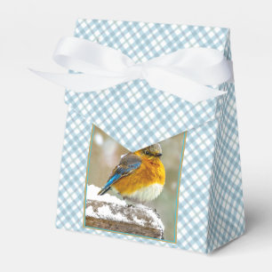 Östra Bluebird in Snö - Originalfoto Presentaskar