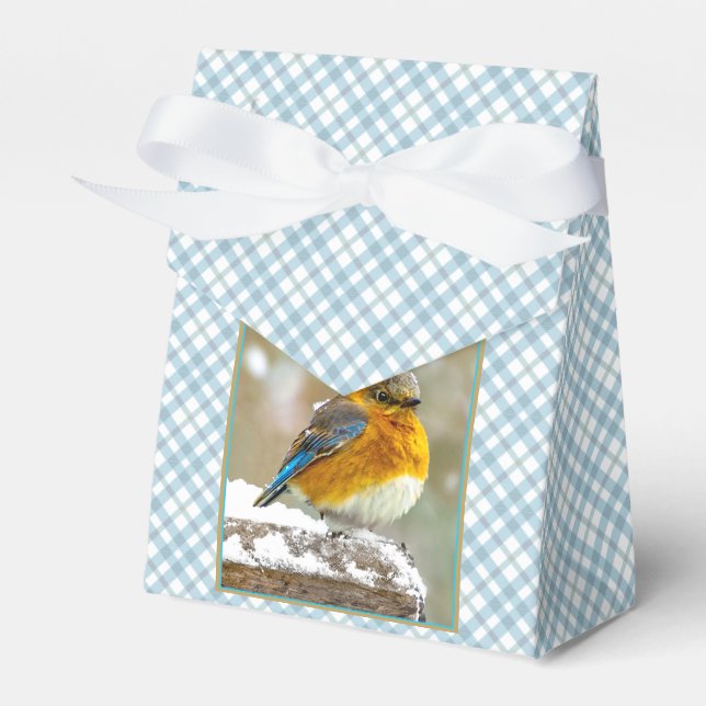Östra Bluebird in Snö - Originalfoto Presentaskar (Framsidan Sidan)