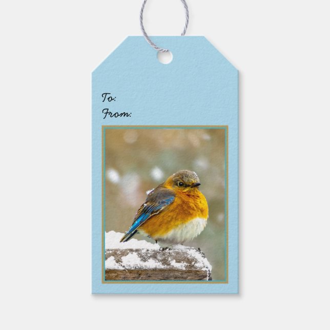 Östra Bluebird in Snö - Originalfoto Presentetikett (Framsidan)
