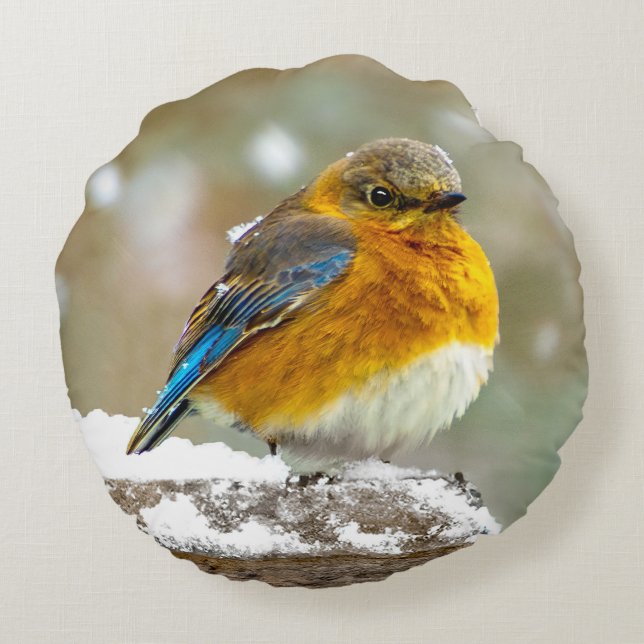 Östra Bluebird in Snö - Originalfoto Rund Kudde (Baksidan)