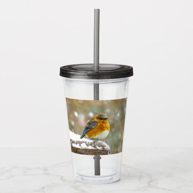 Östra Bluebird in Snö - Originalfoto Take Away Mugg (Framsida)