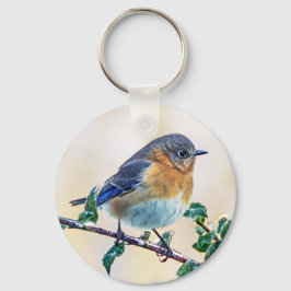 Östra Bluebird Keychain Nyckelring