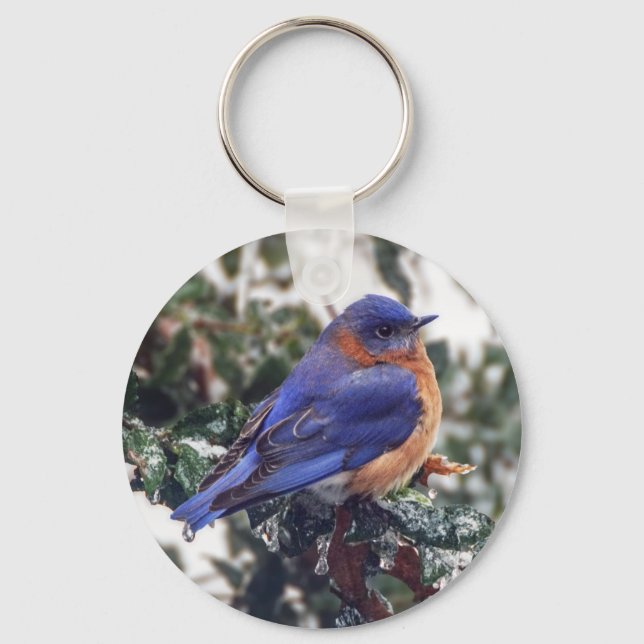 Östra Bluebird Keychain Nyckelring (Framsida)