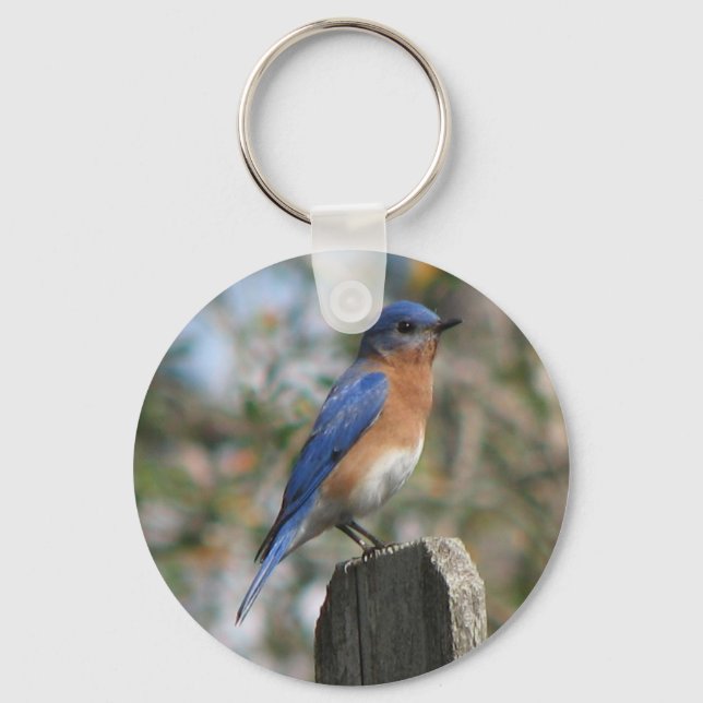 Östra Bluebird Male Keychain Nyckelring (Framsida)