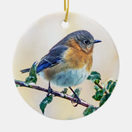 Östra Bluebird Ornament