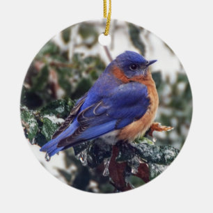 Östra Bluebird på julhelgen Ornament