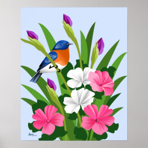 Östra Bluebird Poster