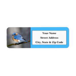 Östra Bluebird-Returetiketter Returadress Etikett