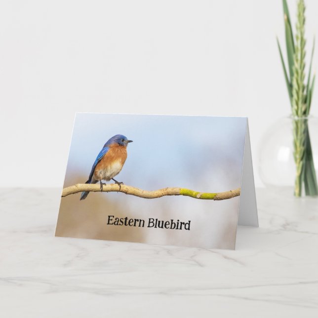 Östra Bluebird Tack Kort (Framsida)