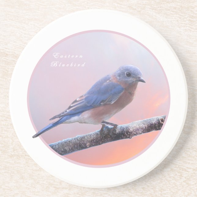 Östra Bluebird Underlägg (Framsidan)