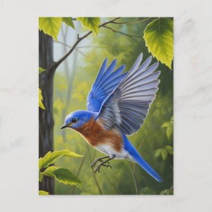 Östra Bluebird Vykort