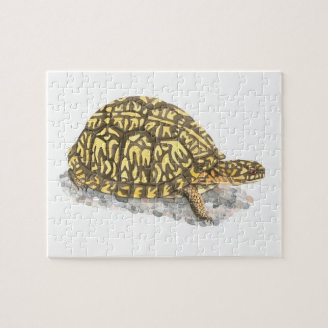 Östra Box Turtle Puzzle Pussel (Horisontell)