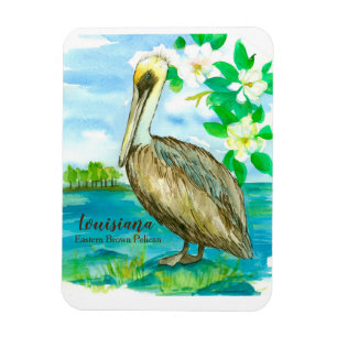 Östra Brown Pelican Louisiana State Bird Magnet