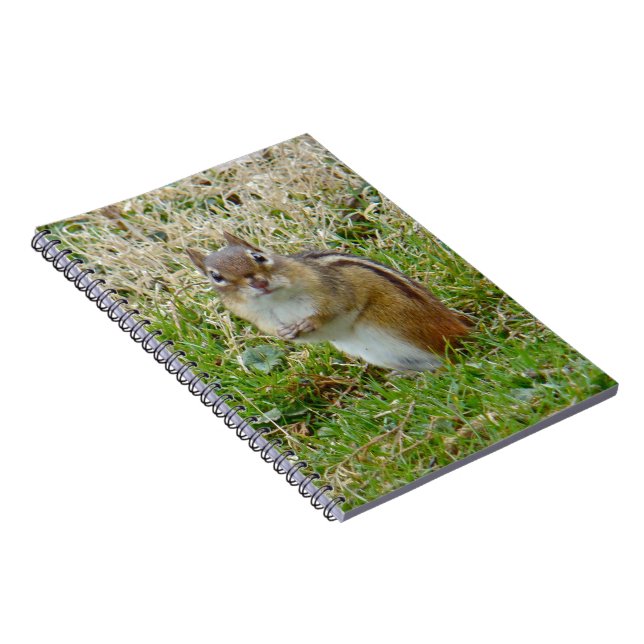 Östra Chipmunk Anteckningsbok Med Spiral (Högra Sidan)