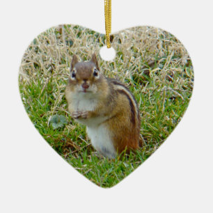 Östra Chipmunk Julgransprydnad Keramik
