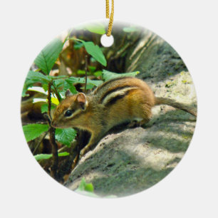 Östra Chipmunk på logg Julgransprydnad Keramik