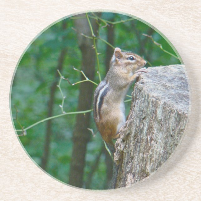 Östra Chipmunk på stump Underlägg Sandsten (Framsidan)