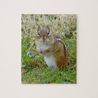 Östra Chipmunk Pussel
