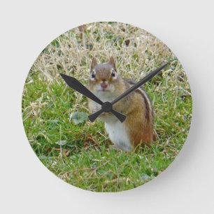 Östra Chipmunk Rund Klocka