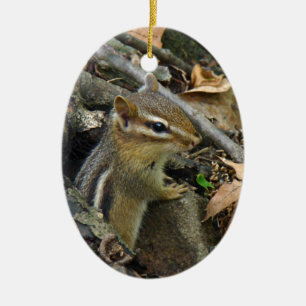 Östra Chipmunk - Tamias striatus Julgransprydnad Keramik