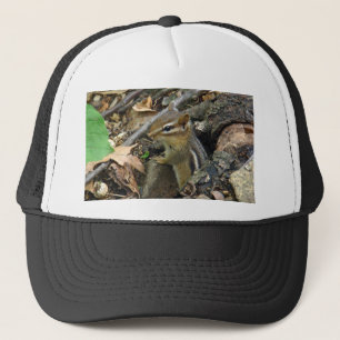 Östra Chipmunk - Tamias striatus Truckerkeps