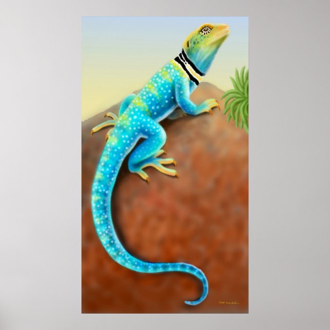 Östra Collard Lizard Poster (Framsidan)