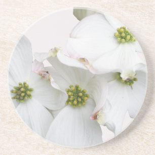 Östra Dogwood Blommars - Cornus florida Underlägg Sandsten