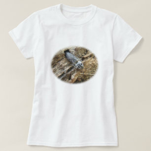Östra Eyed Elater Click Beetle - Alaus oculatus T-shirt