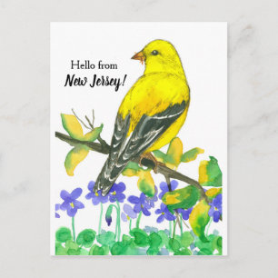 Östra Goldfinch Bird Hej från New jersey Vykort