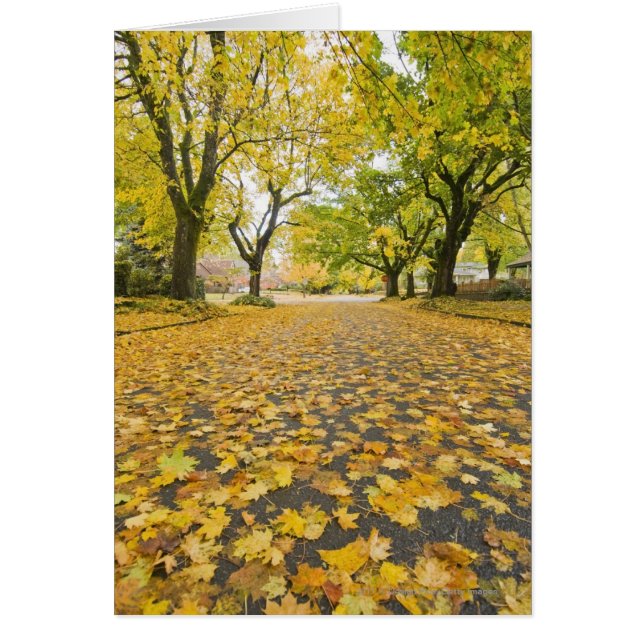 Östra grannskapet hösten hälsningskort (Framsidan)