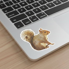 Östra Grått-ekorre Klistermärken