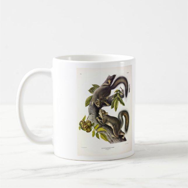 Östra Grått Squirrel (Migratory Squirrel) Audubon Kaffemugg (Vänster)