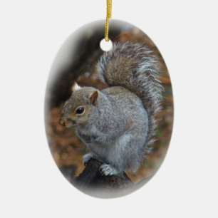 Östra Grått Squirrel - Sciurus carolinensis Julgransprydnad Keramik