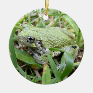 Östra Grått Treefrog Nature Photography Julgransprydnad Keramik