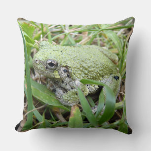 Östra Grått Treefrog Nature Photography Kudde